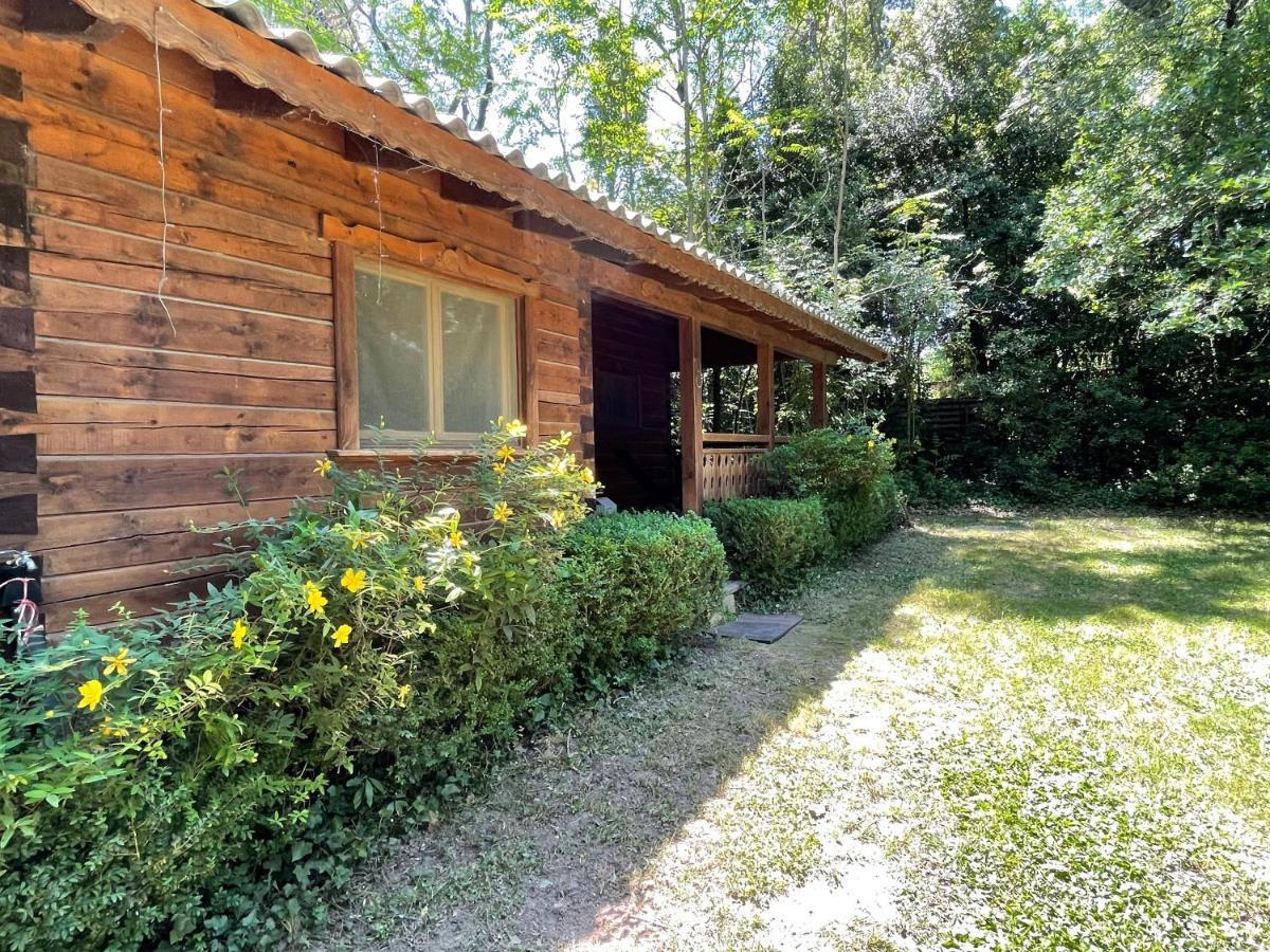 Bastidette Florestane Saint-Remy-de-Provence Exterior photo