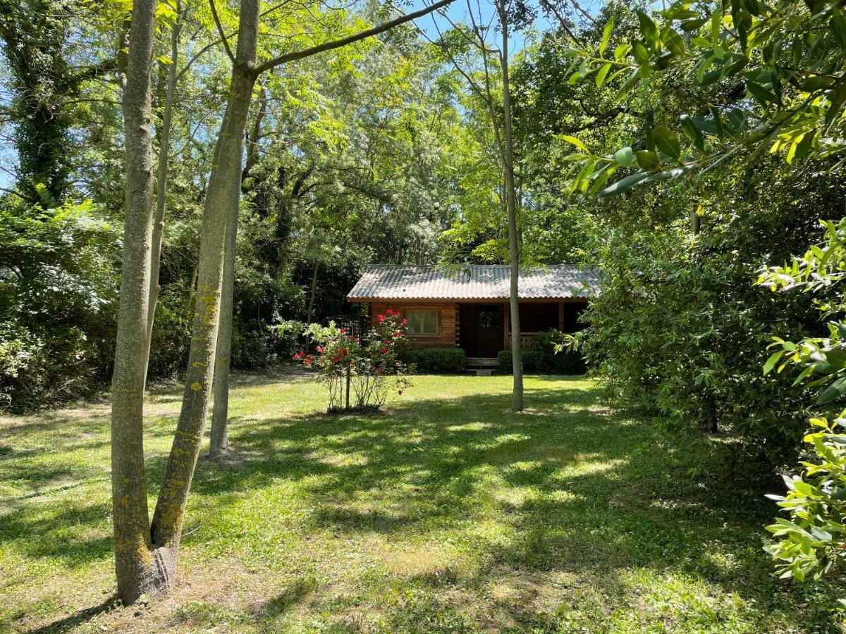 Bastidette Florestane Saint-Remy-de-Provence Exterior photo