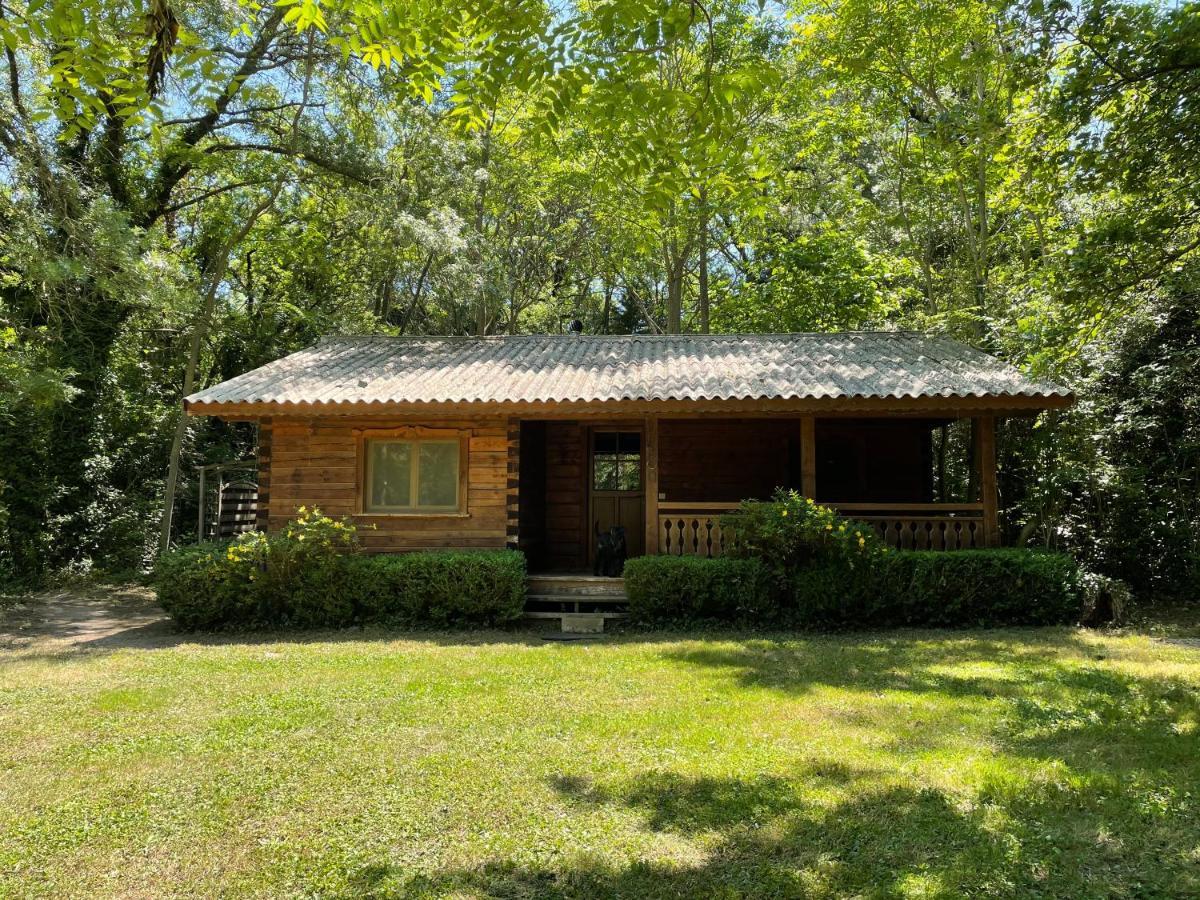 Bastidette Florestane Saint-Remy-de-Provence Exterior photo